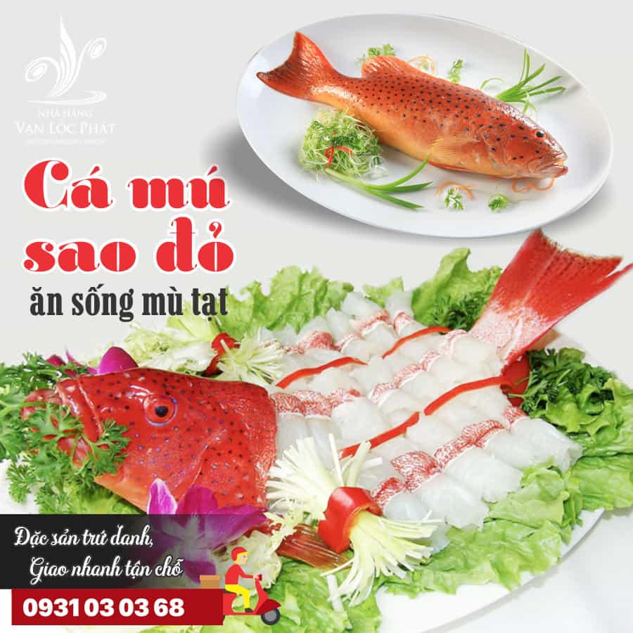 Cá mú sao đỏ-Nhà hàng Vạn Lộc Phát - hệ thống phòng Vip máy lạnh, karaoke  hiện đại.